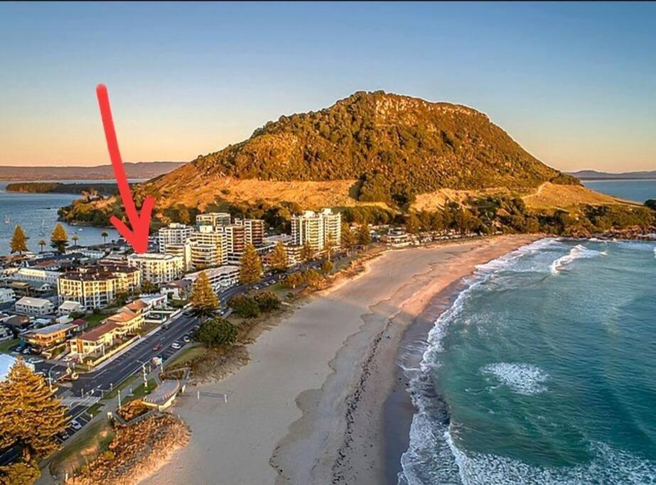 מאונט מאונגאנוי Fabulous Apartment In The Atrium, Mt Maunganui מראה חיצוני תמונה